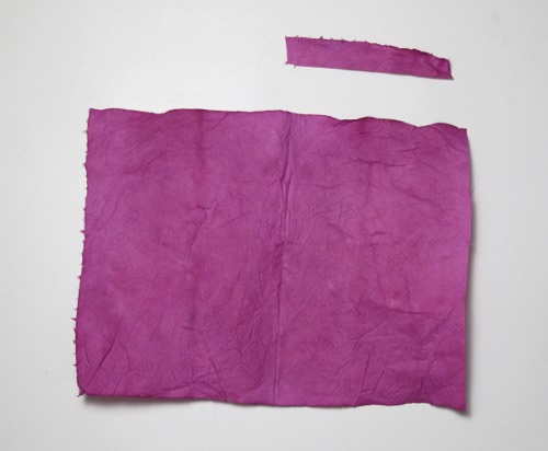 Litmus paper made from elderberry