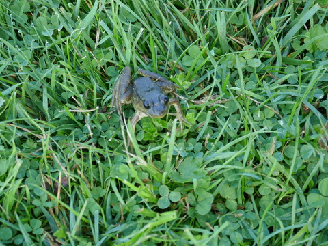 jonesfalls and deltamill 2025